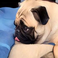 lola_lapug
