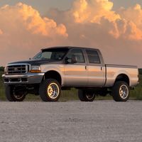 sheldon_01platinum