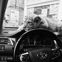 оригинальный звук