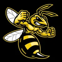 Звук для рекомендации