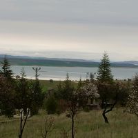 hasanugurgul