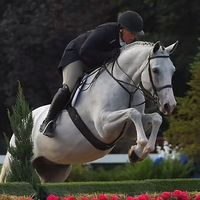 urfavshowjumper