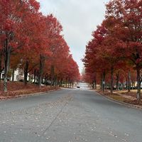 francysn35