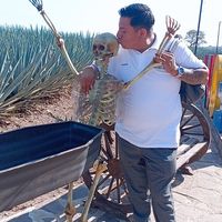 alejandrococodriloaraiza