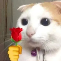 original sound - mikylsa