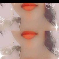 abaceeia_taysi