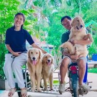 rodtung_petshop