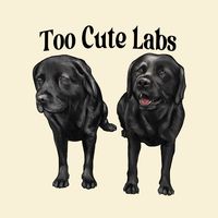CHONKY LAB