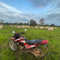 user87689169