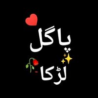 mr_yaseen1100