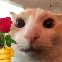 оригінальний звук