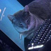 Use this sound if u like men