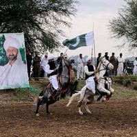 sulmangujjar589