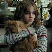 original sound - luckyseven1111