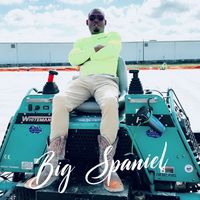 big.spaniel