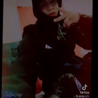 stivn73