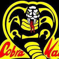 cobra_kai1777