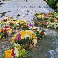 user_405078
