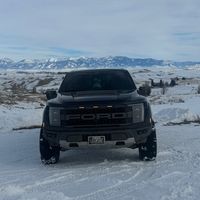 thatone_raptor2