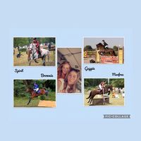 welshpony_danny