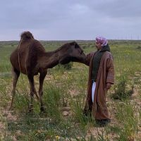 الصوت الأصلي