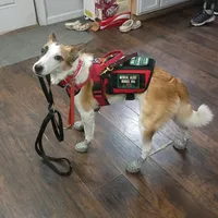 original sound - moses_at_your_service