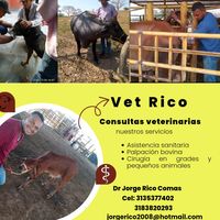 vet_rico
