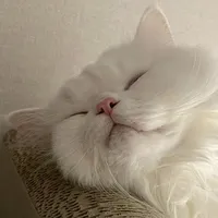 original sound - yummii96