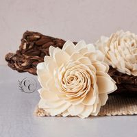 creativexconversions