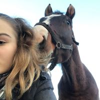 _equestrian_tt