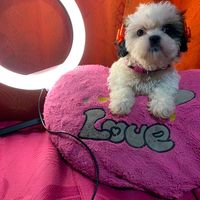unabolitadeamor