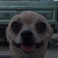 original sound - swishyyoutube