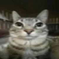 original sound - wjhyzz