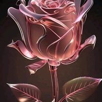 flor.roja5
