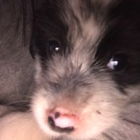 เสียงต้นฉบับ - เพลง🎧🕉