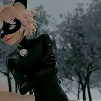 soy.tu.bellaquito
