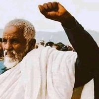 kuflomgedey795