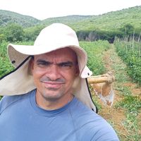 farturaemmeiohectare