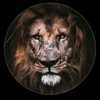 original sound - endriyas_29