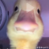 soccergod17