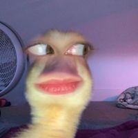 i w a n n a r i d e