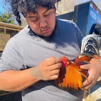 fantasmagamefarm
