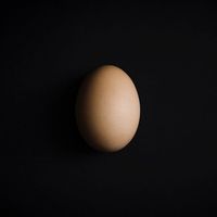 eggedizzzzzzzzzzzz