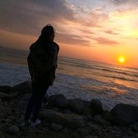 niko_28m.a