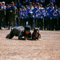 original sound - mentalidad_militar