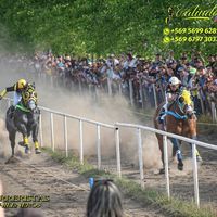 corralelconyquillonn