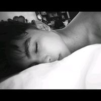 alexander__26_