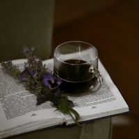 gleisinhofrasesedicas