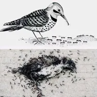 original sound - lasss97