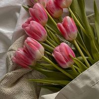 blossomlover.07
